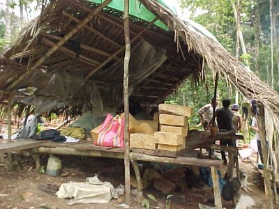 Typical housing for loggers. An area of about 50 feet in diameter is cleared 