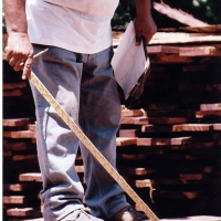 That's a tally stick, which is used for calculating surface measure on the fly so he can determine the lumber grade.