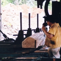 Slicing off the sapwood to get to a heartwood billet