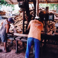 These guys are in charge of inspecting the boards as they come off the saw and then hauling them out to get stacked