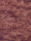 walnut_burl1