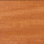 Genuine mahogany wood grain scan