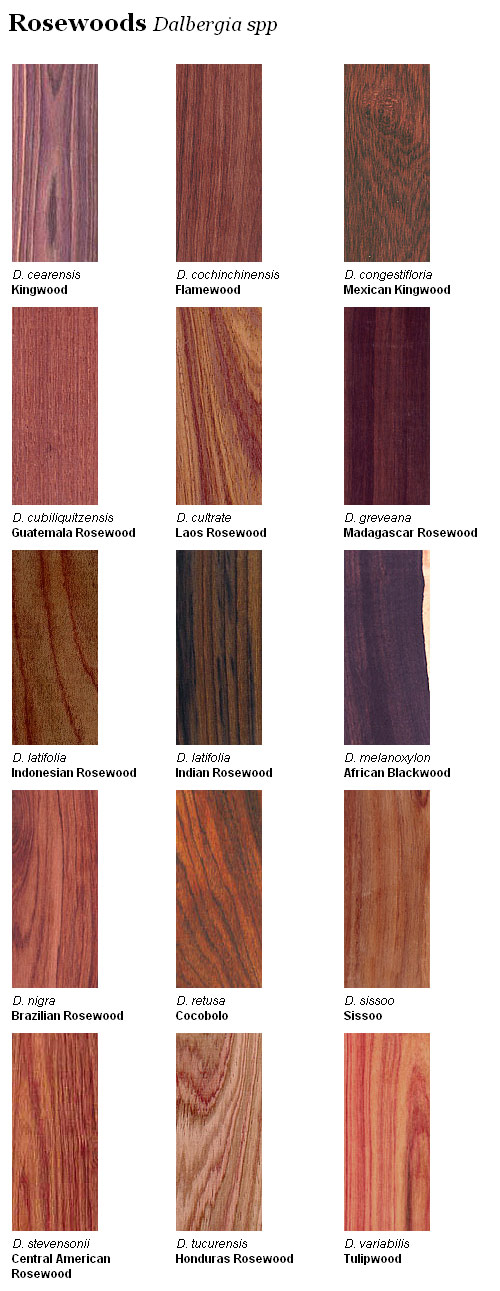 Bois de Rose  The Wood Database (Hardwood)