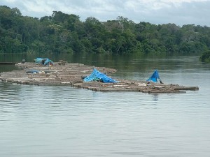 After a year's hard work with the entire family or families, the logs are lashed together and floated downstream to market