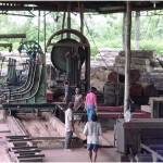 Once the logs arrive at a market, they are sawn into lumber at mills like this.