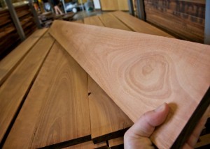 lyptus lumber stack