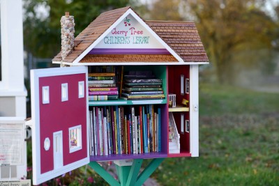 Here's a sample of a creative Little Free Library