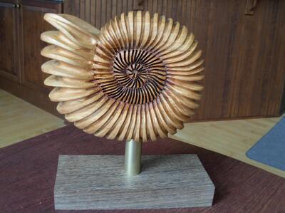 Shell (Ammonite)